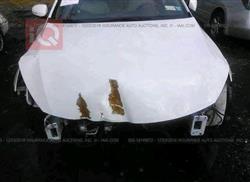 كيا اوبتيما